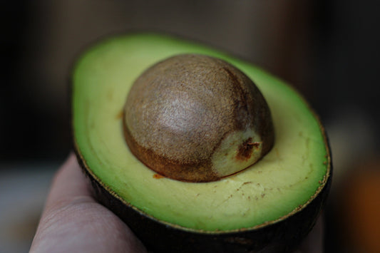 Avocadokern essen: Die wichtigsten Fragen und Antworten