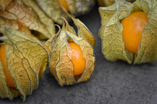 Ist die Physalis gesund? Die wichtigsten Fragen und Antworten