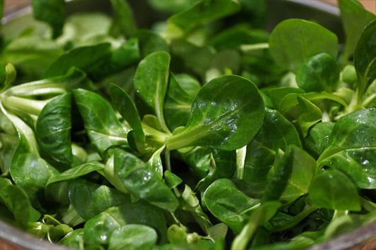 Wie gesund ist Feldsalat? Wichtige Infos zu Nährstoffen und Verzehr